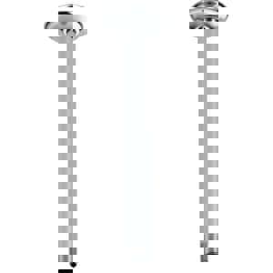 10 CEIL MNT SHWR ARM *TOTESC CP