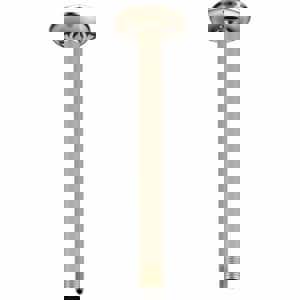 10 SHWR ARM CEIL MNT PN