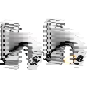 SHWR ARM & SET SCRW *BRIVIR