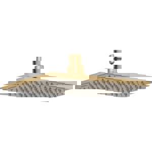 Single Function Showerhead in Lumicoat Champagne Bronze