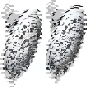 CCN 2.5 GPM 5F RAINCAN CP