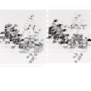 @ CRS T&S RMDL KIT CP