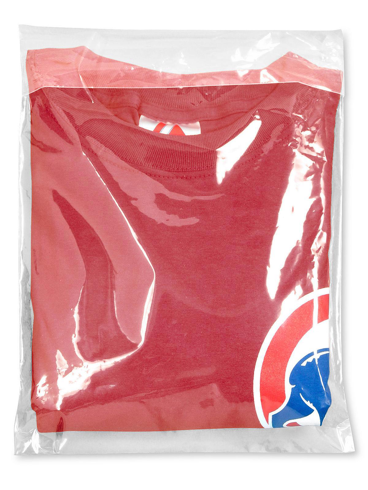 Flap Lock Poly Bags - 2 Mil, 9 x 14