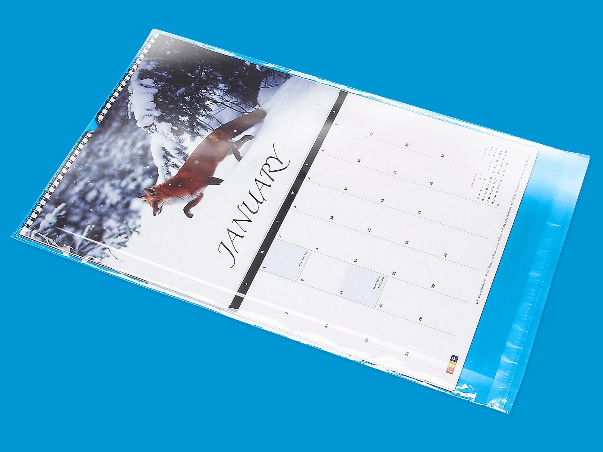 Resealable Polypropylene Bags - 1.5 Mil,