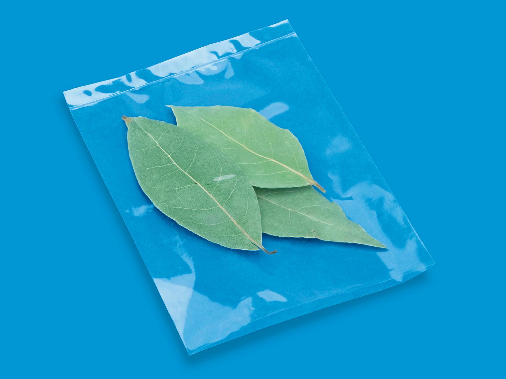 Flat Polypropylene Bags - 1.5 Mil, 3 x 4