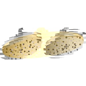 CCN 2.5 10 RNSHWR SHWRHD