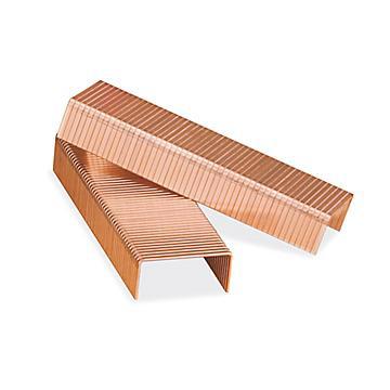 Time Delay Fuse: 1.25 A