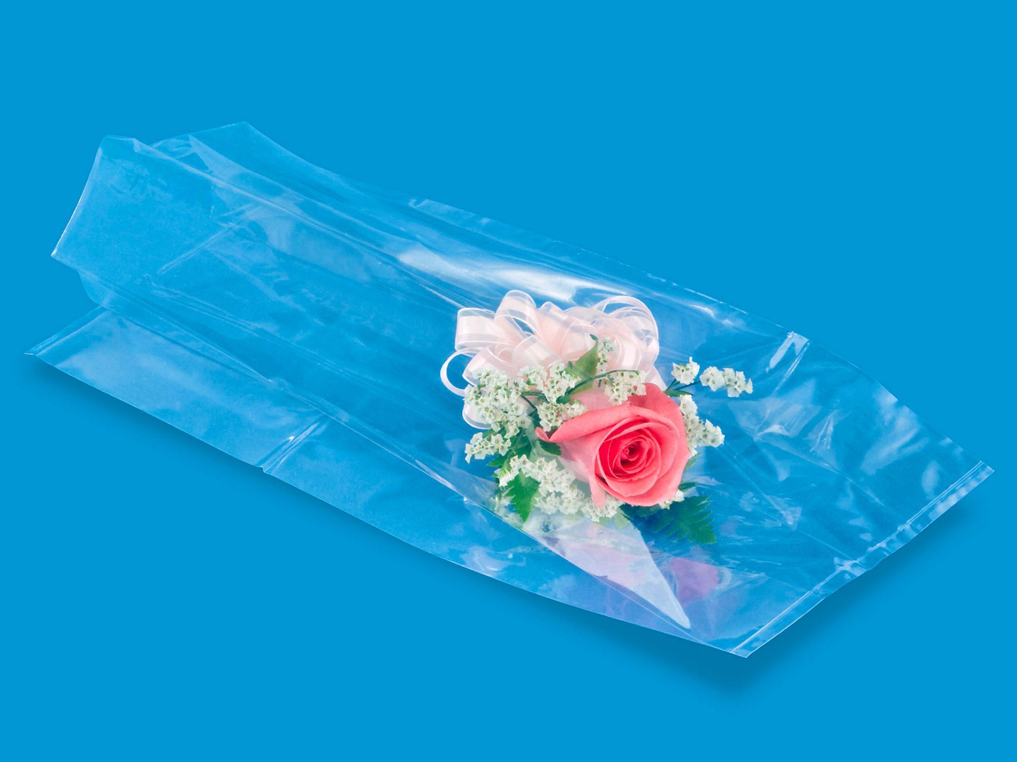 Gusseted Polypropylene Bags - 1.5 Mil, 6
