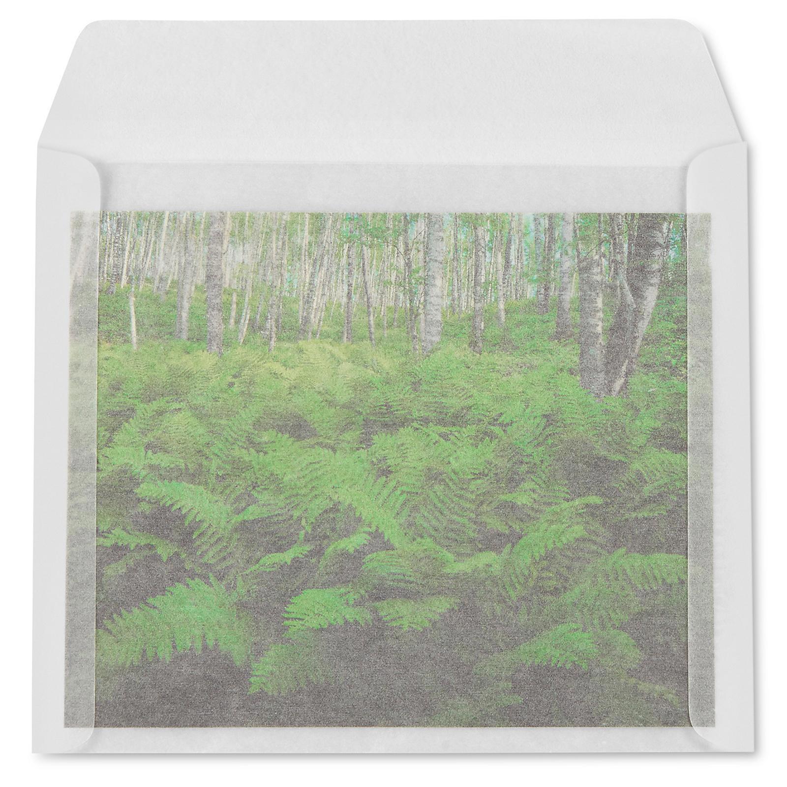 Glassine Envelopes - 9 1 2 x 11