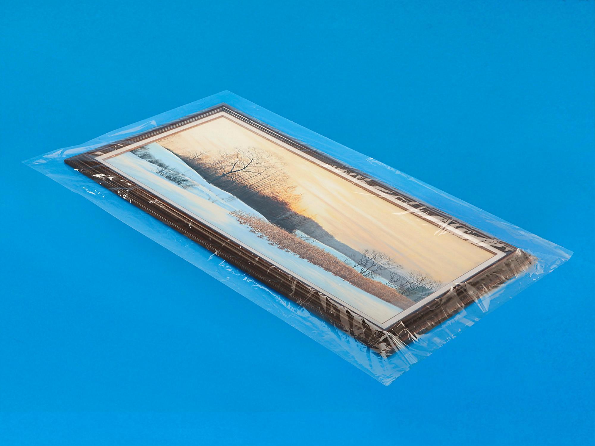 38 x 60 2 Mil Industrial Poly Bags