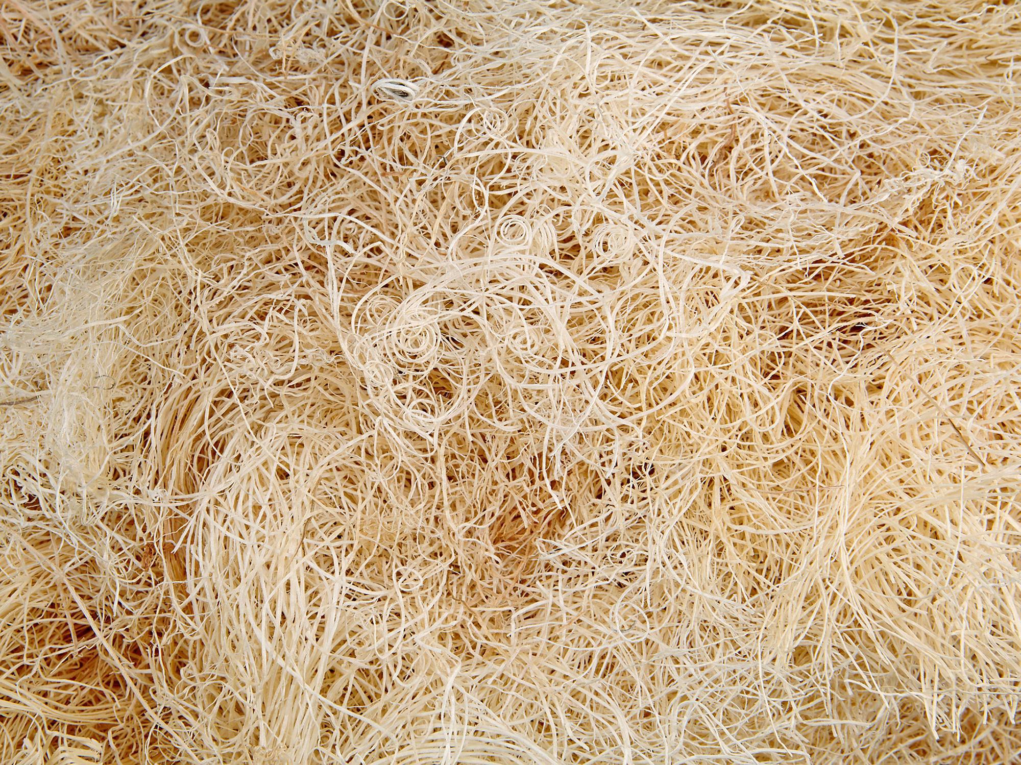 Fine Excelsior - 5 lb, Undyed Aspen. Sol