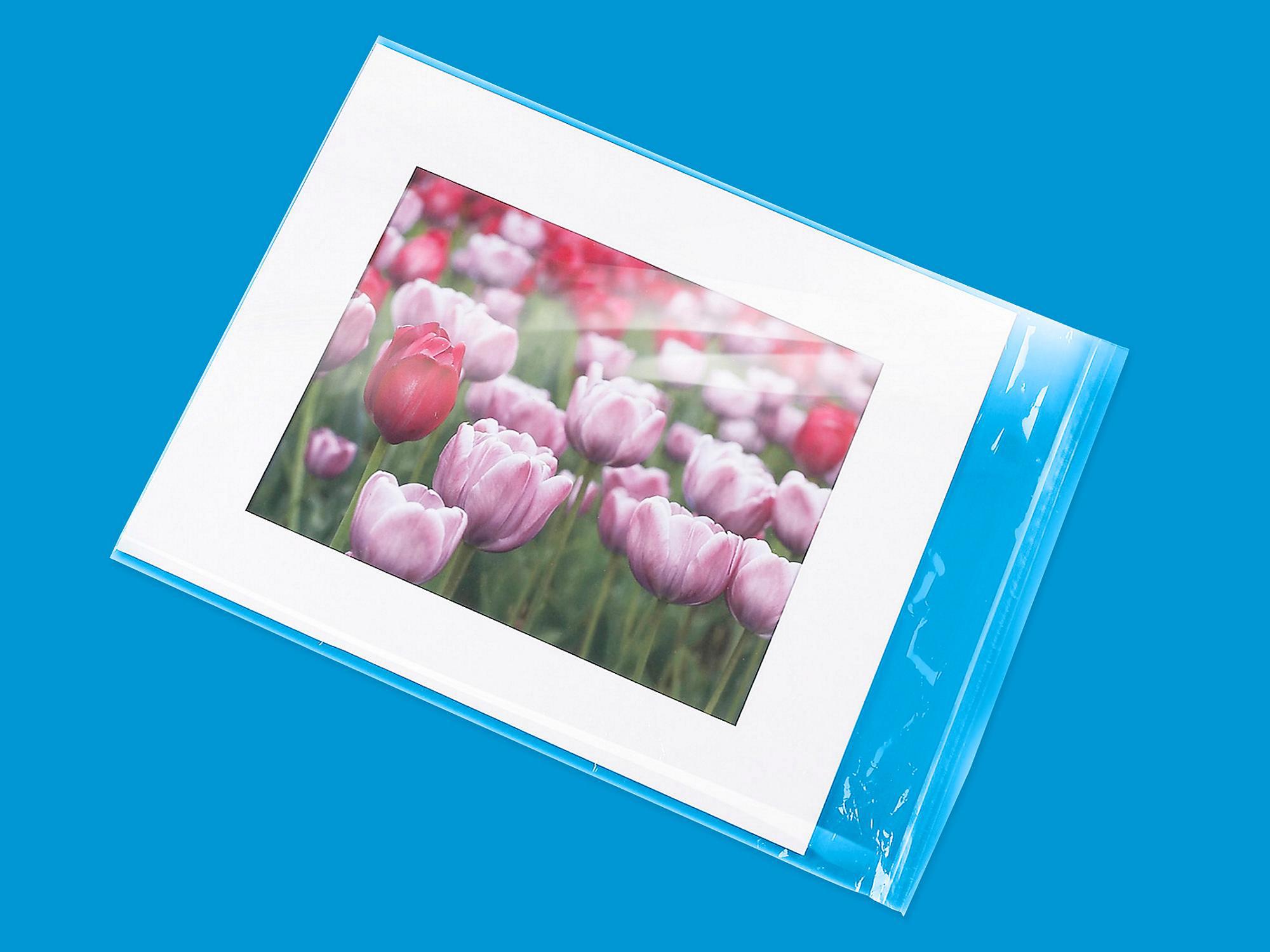 Resealable Polypropylene Bags - 1.5 Mil,