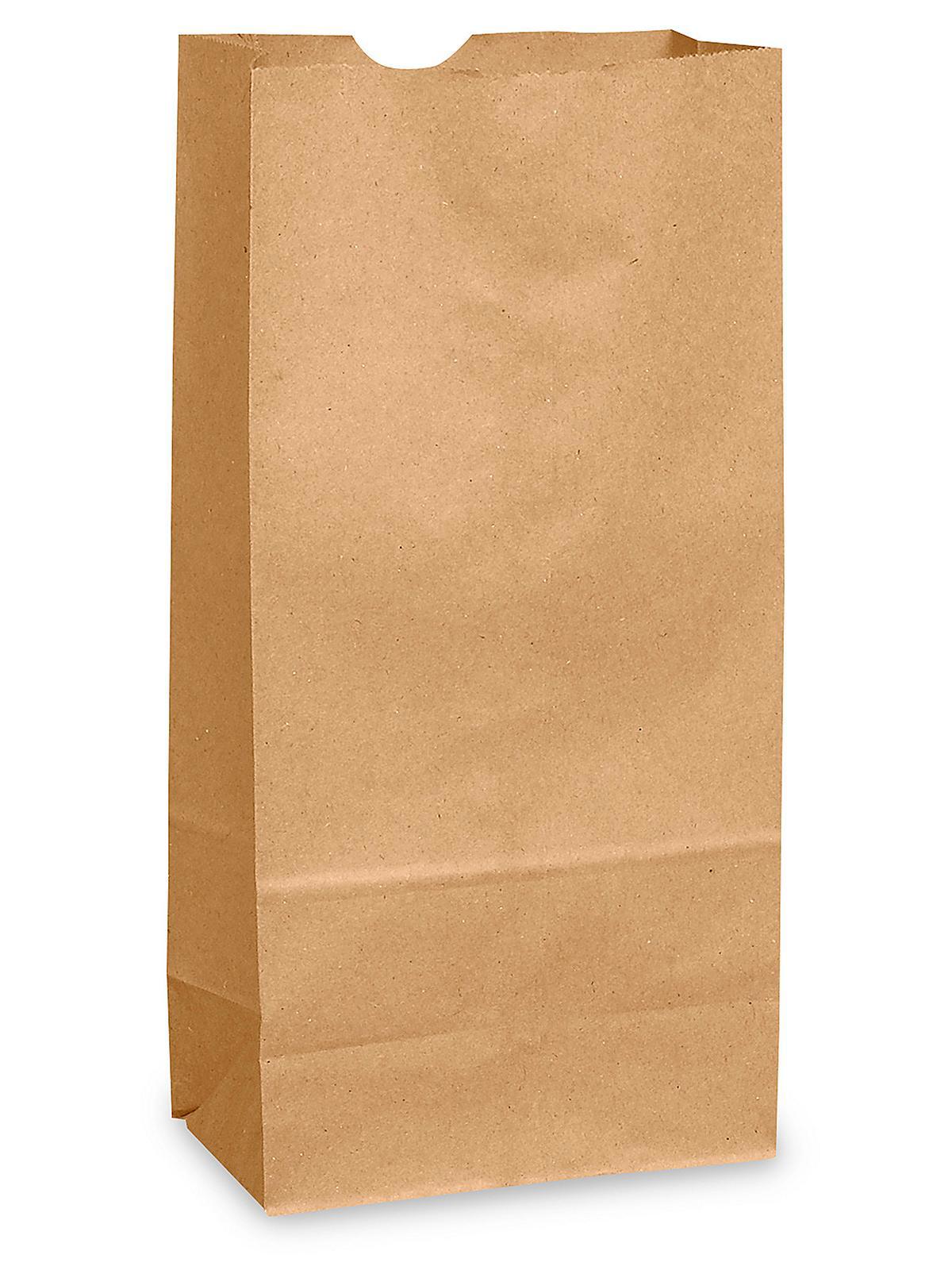 Paper Grocery Bags - 5 1 4 x 3 7 16 x 10