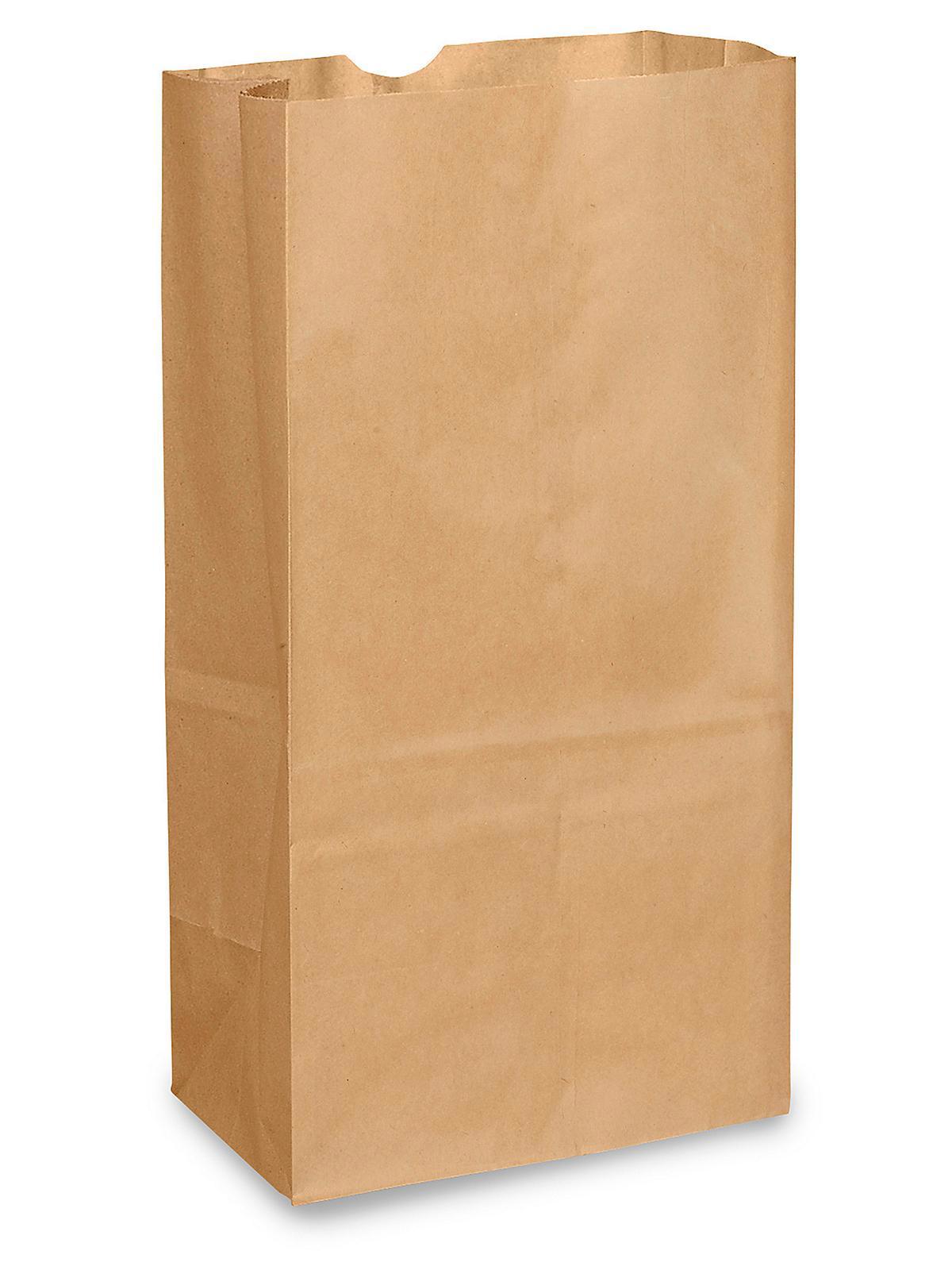 Paper Grocery Bags - 8 1 4 x 5 5 16 x 16