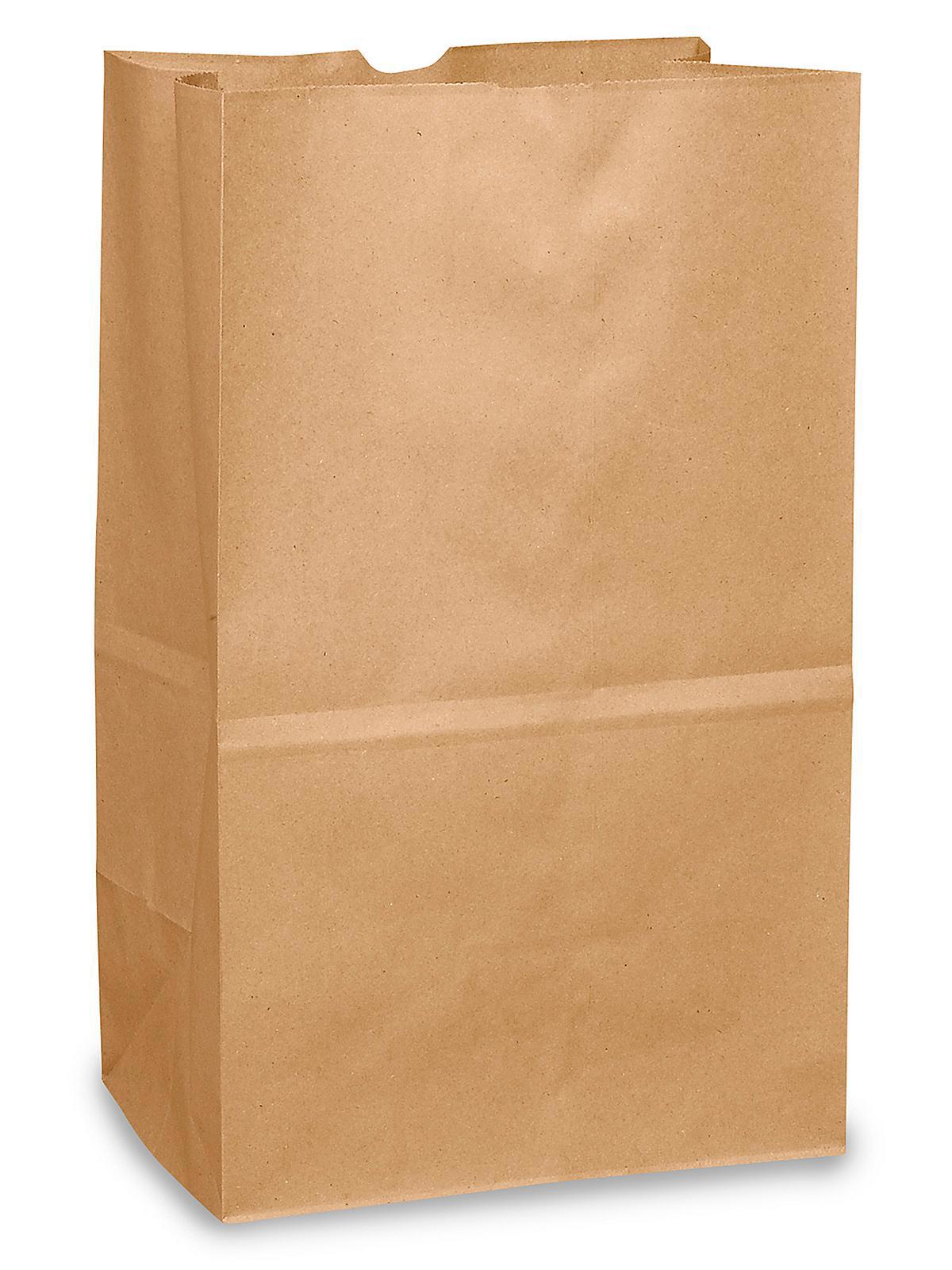 Paper Grocery Bags - 8 1 4 x 5 15 16 x 1