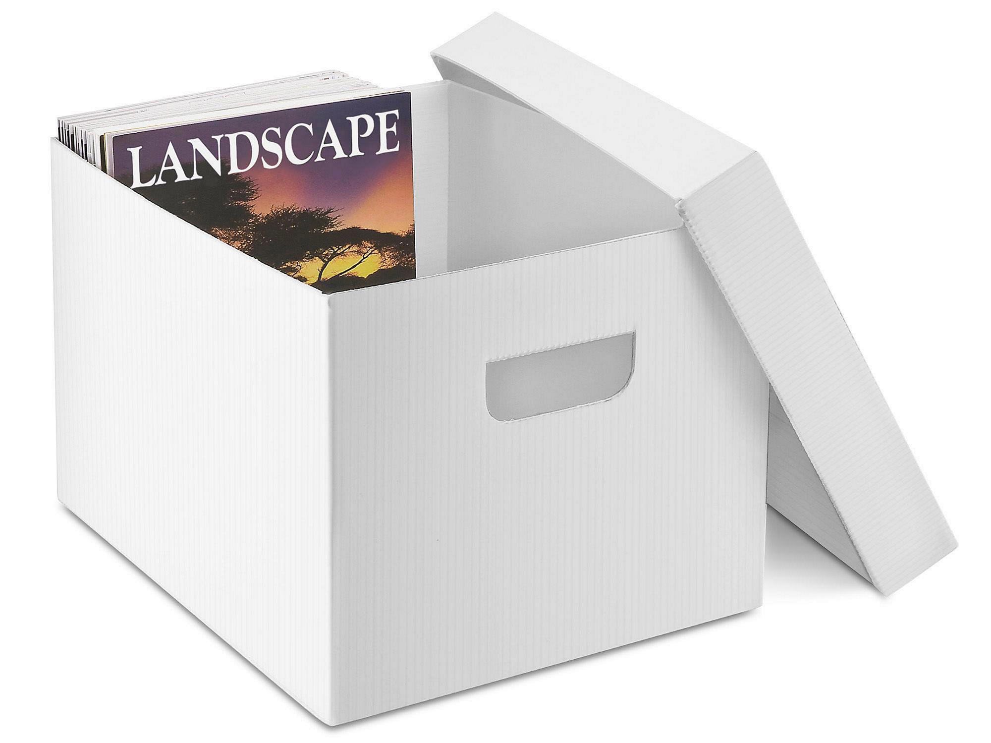 Plastic Storage File Box - 15 x 12 x 10