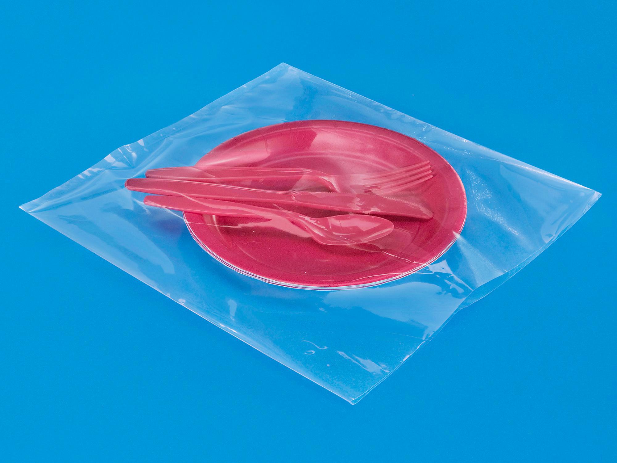 10 x 10 2 Mil Industrial Poly Bags