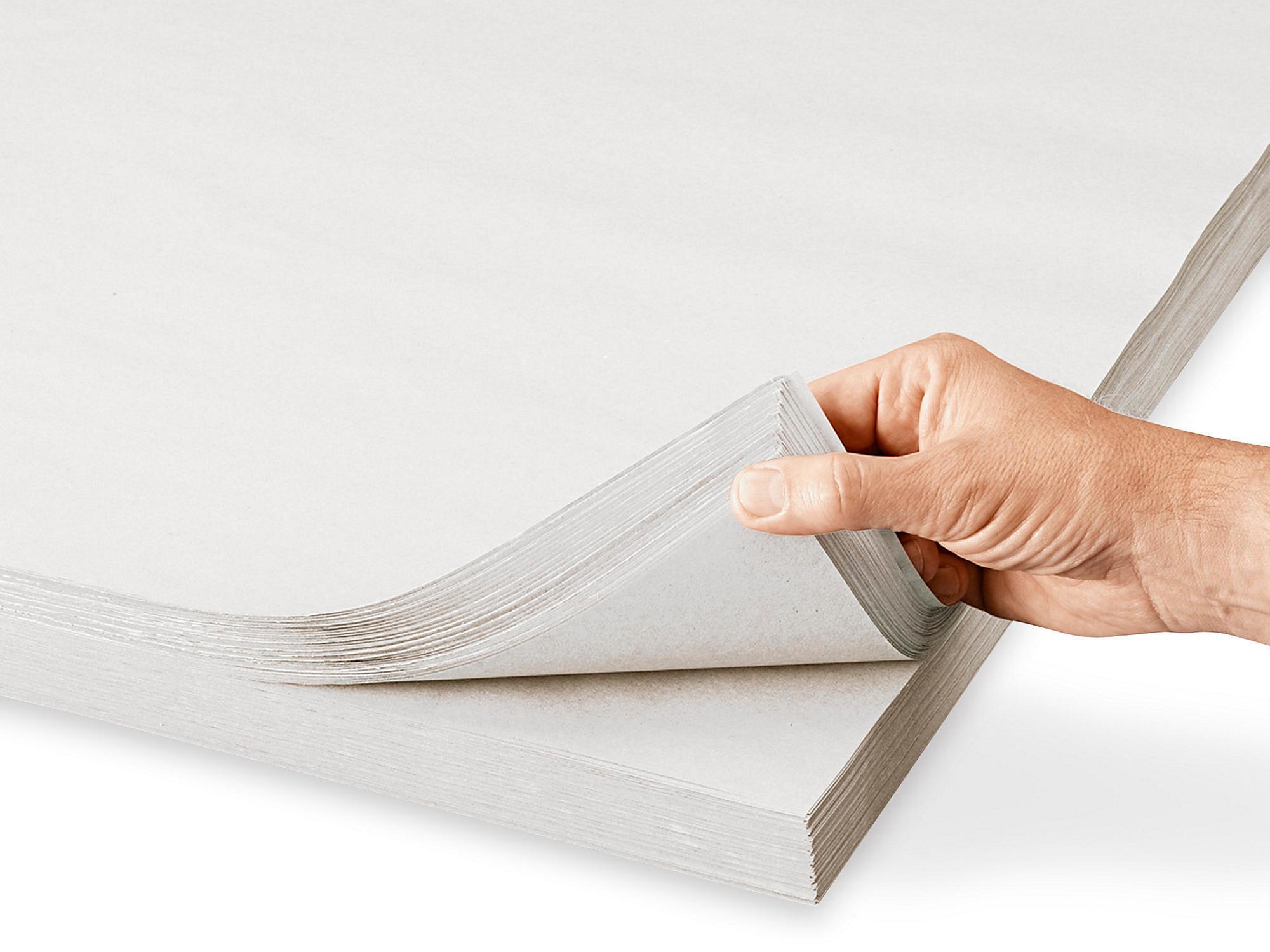 Newsprint Sheets - 20 x 30