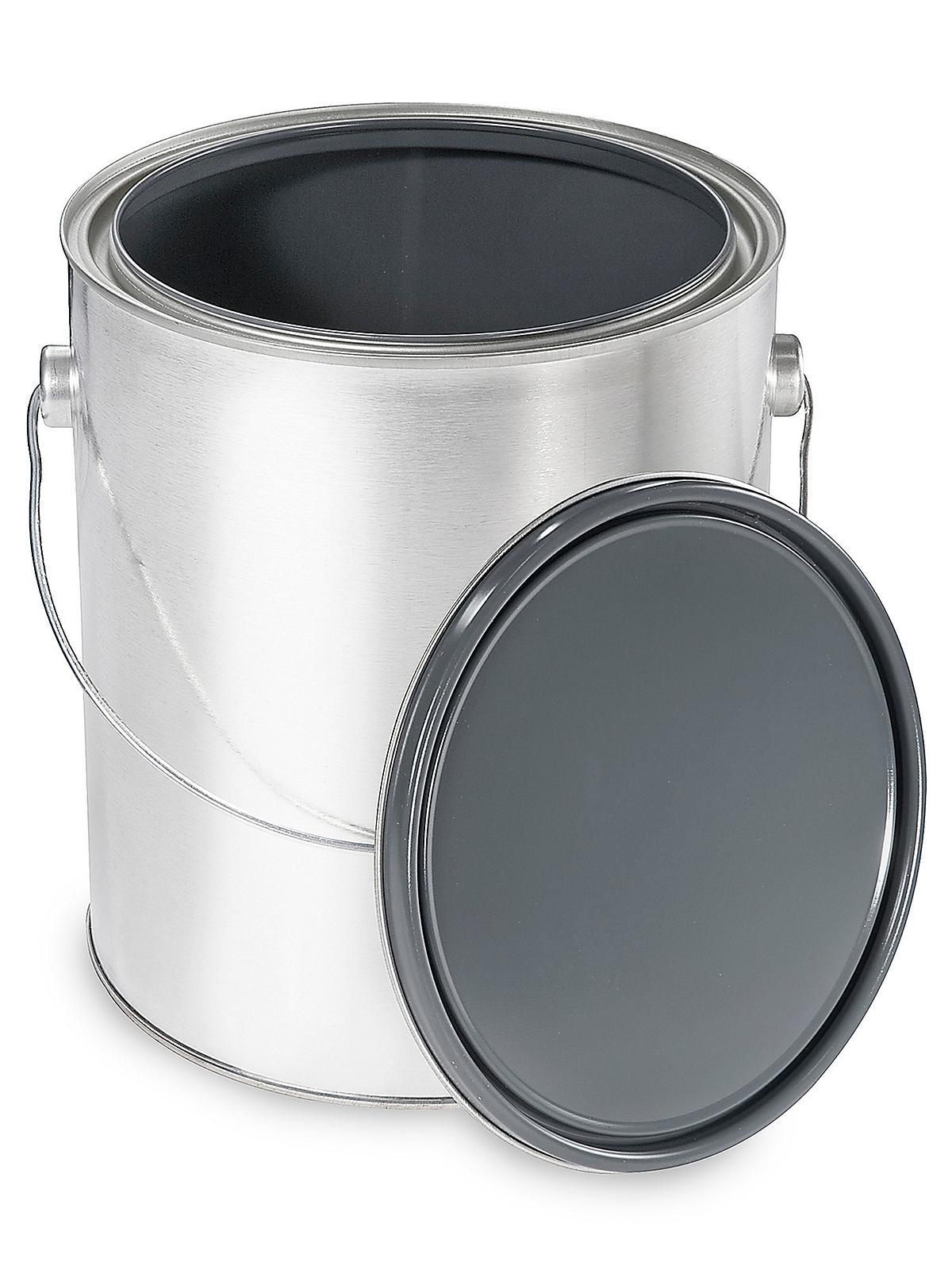 Epoxy-Lined Metal Can with Handle - 1 Ga