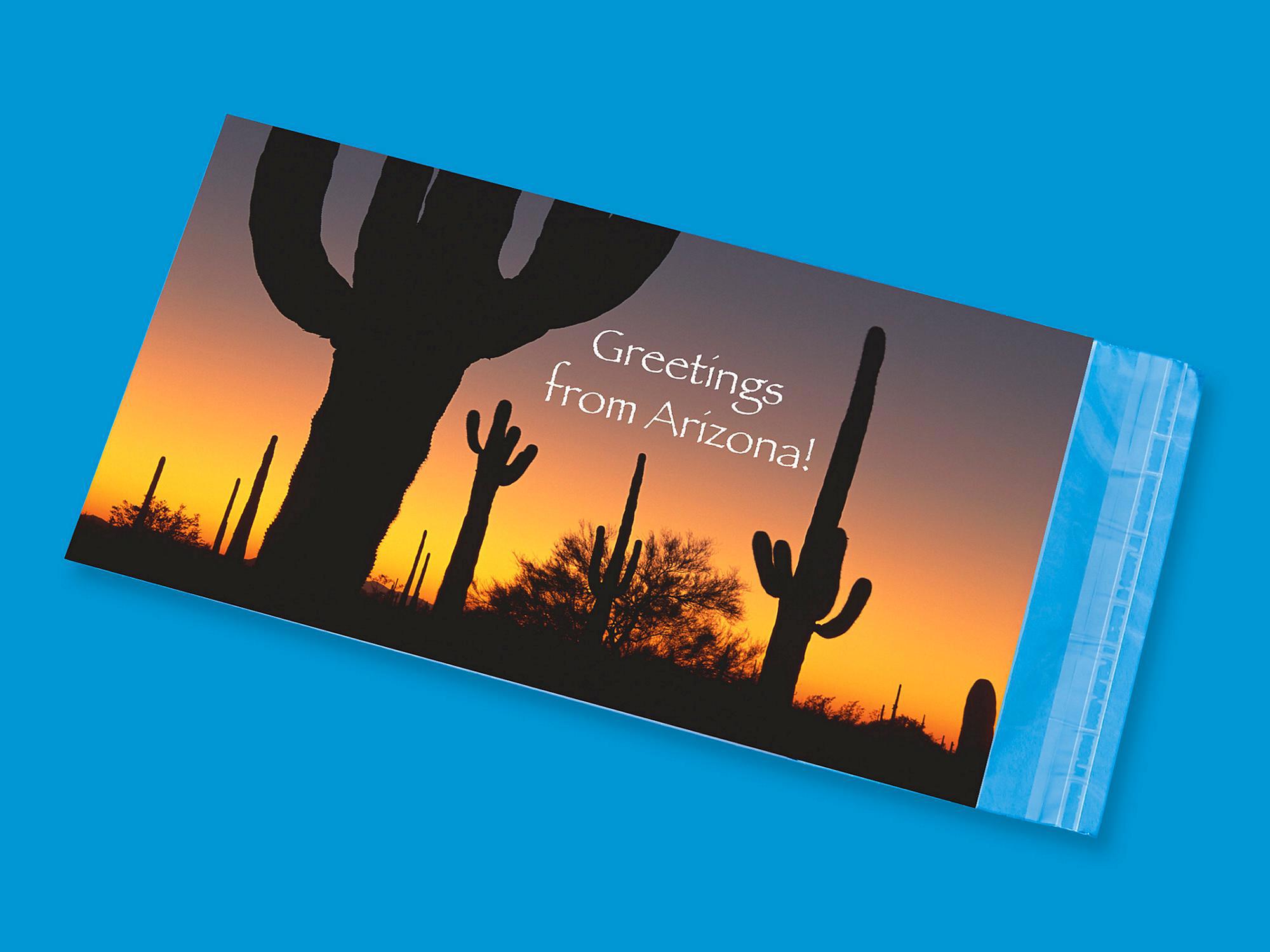 Resealable Polypropylene Bags - 1.5 Mil,