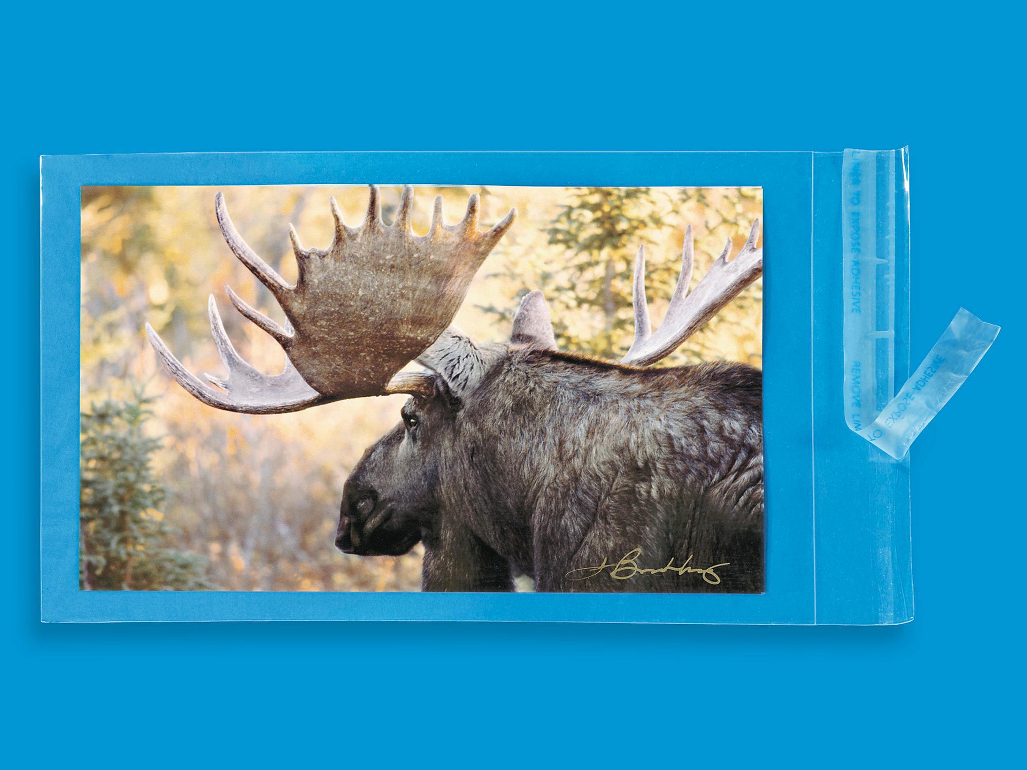 Crystal Clear Resealable Polypropylene B