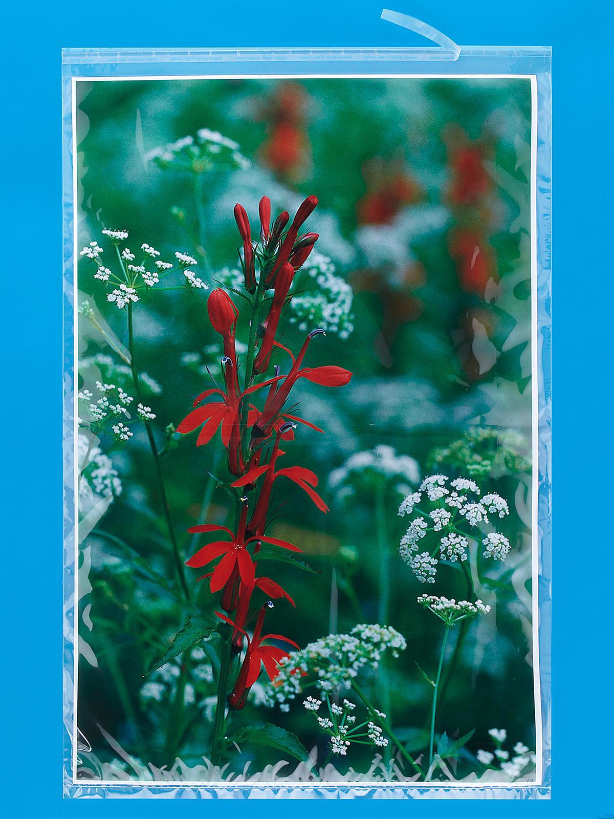 Crystal Clear Resealable Polypropylene B