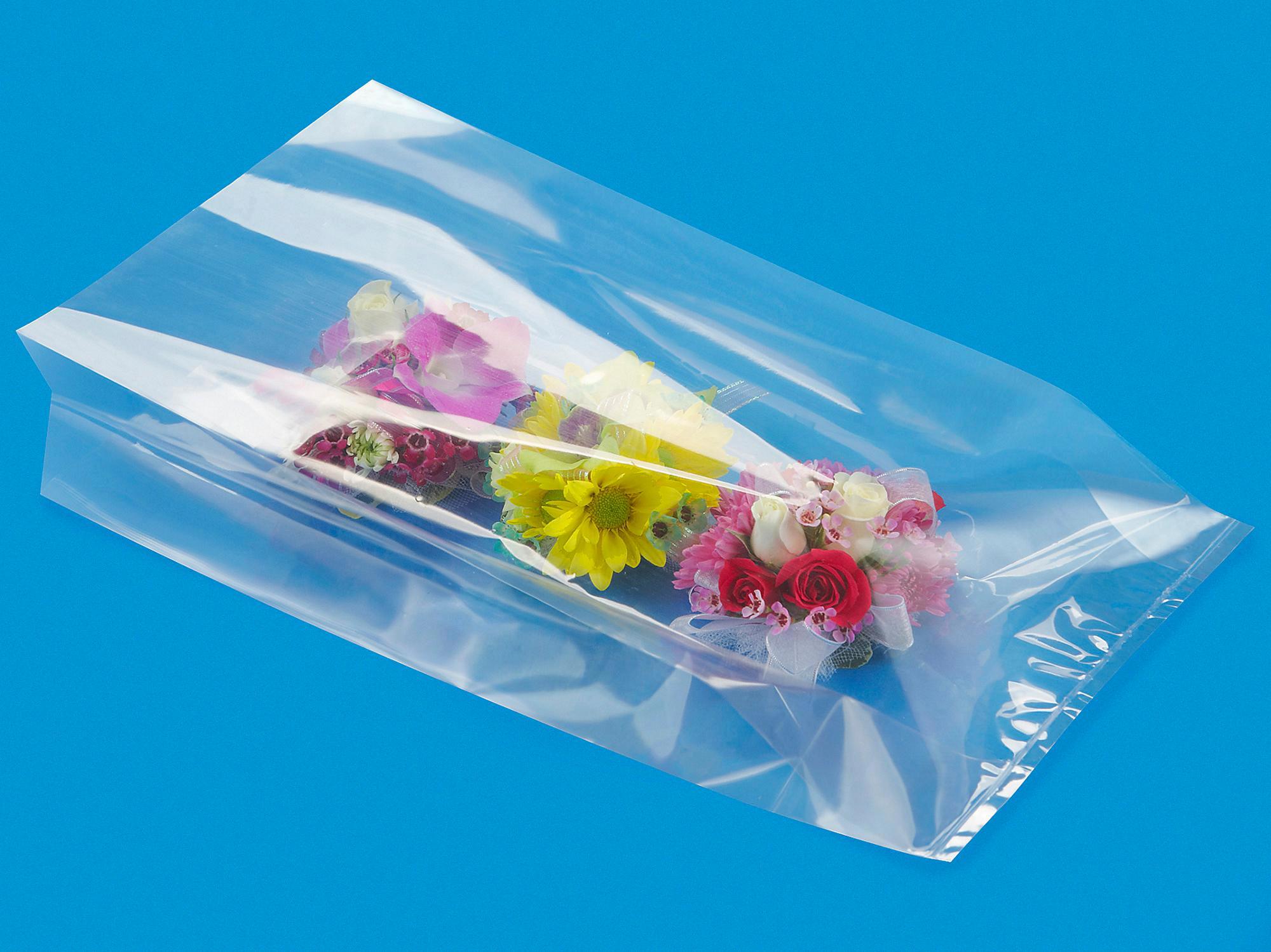 Gusseted Polypropylene Bags - 1.5 Mil, 8