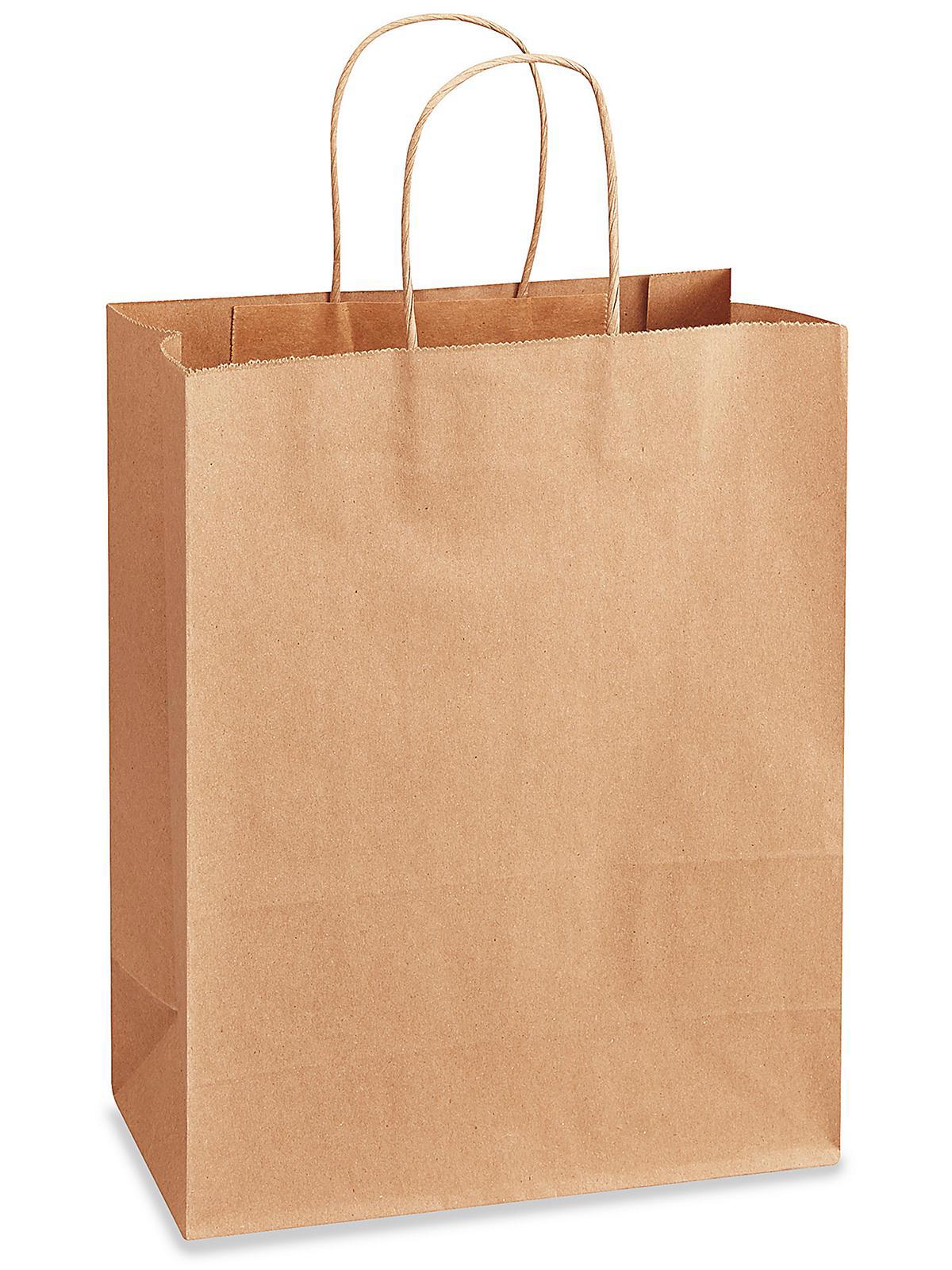 Recycled Paper Shopping Bags - 10 x 5 x