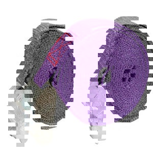 12 ft. x 1 in. Cam Strap Purple