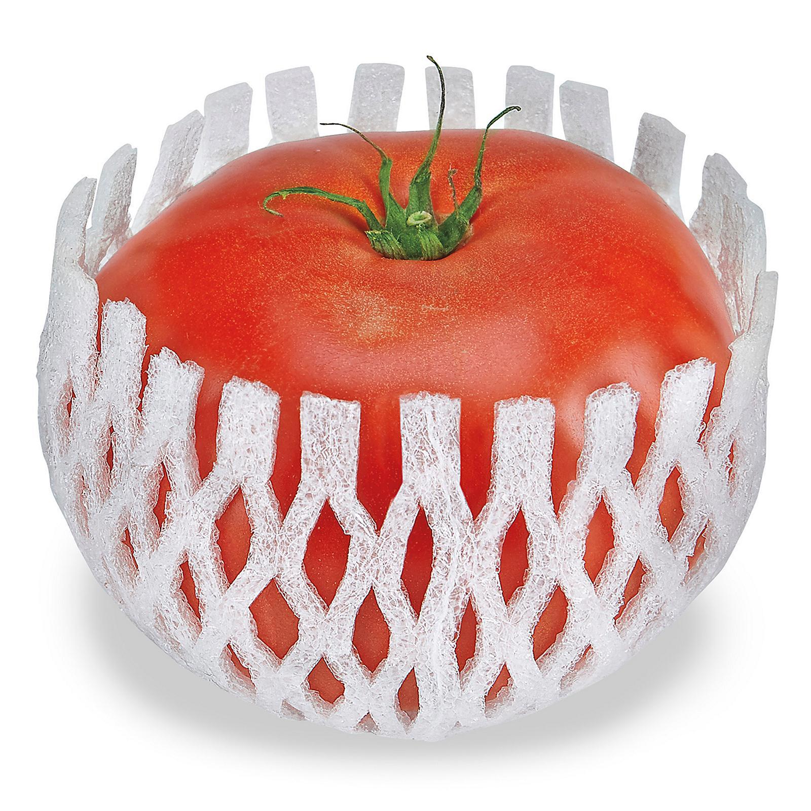 Foam Netting - 2 3 4 x 3 1 4