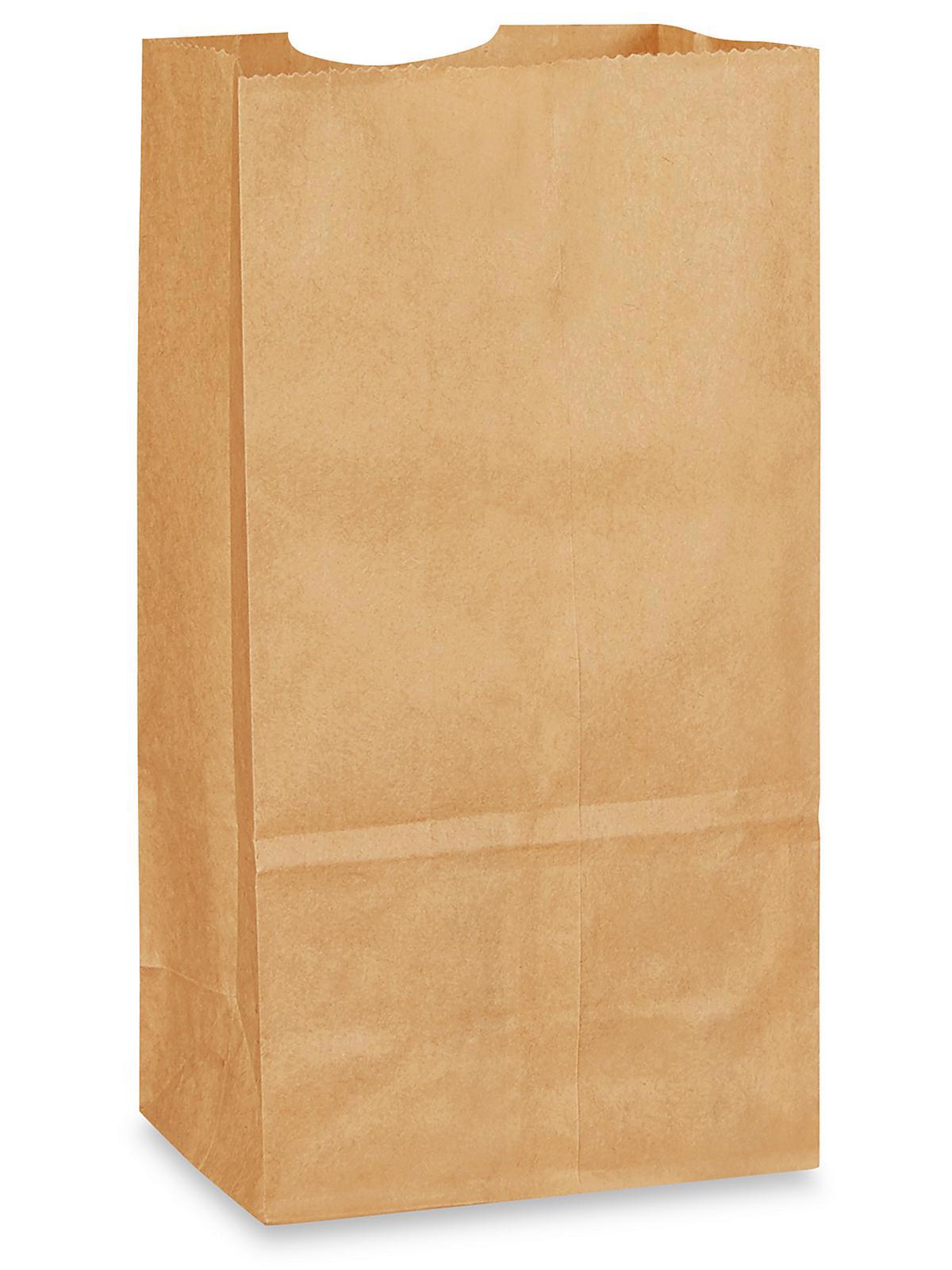 Recycled Grocery Bags - 4 1 8 x 2 5 8 x
