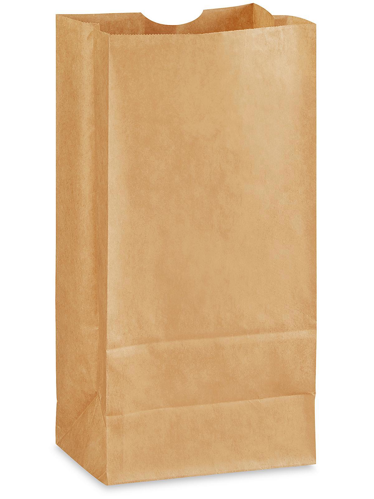 Recycled Grocery Bags - 6 x 4 1 16 x 12