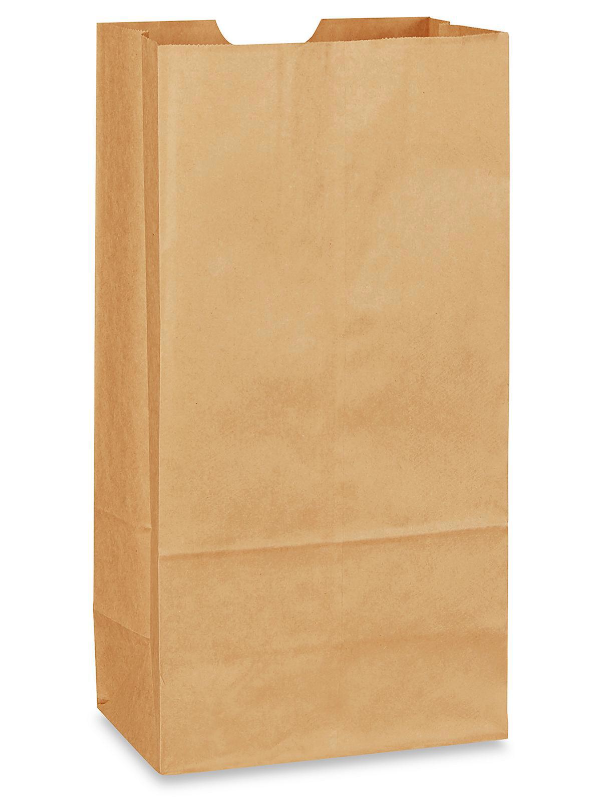Recycled Grocery Bags - 7 x 4 3 8 x 13 3