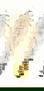 60W A19 CLR FILAMENT ANTI BULB