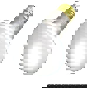 30W R20 RFLCT MED BSE 130V FROS