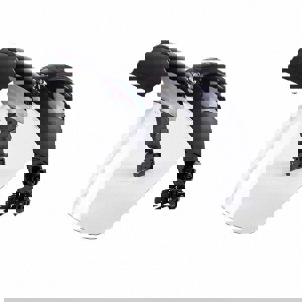 Face Shield & Headgear: