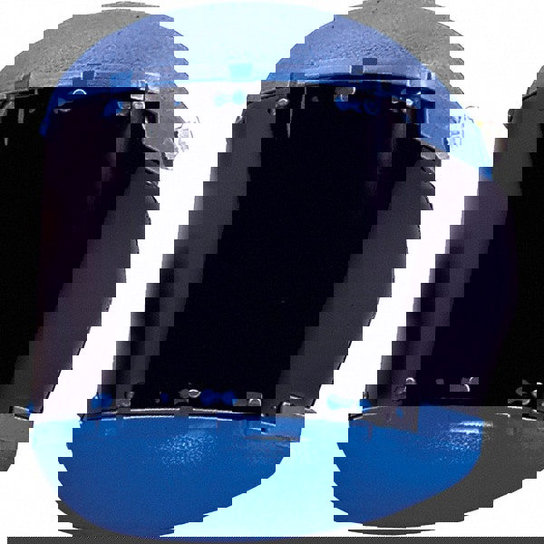 Face Shield & Headgear: