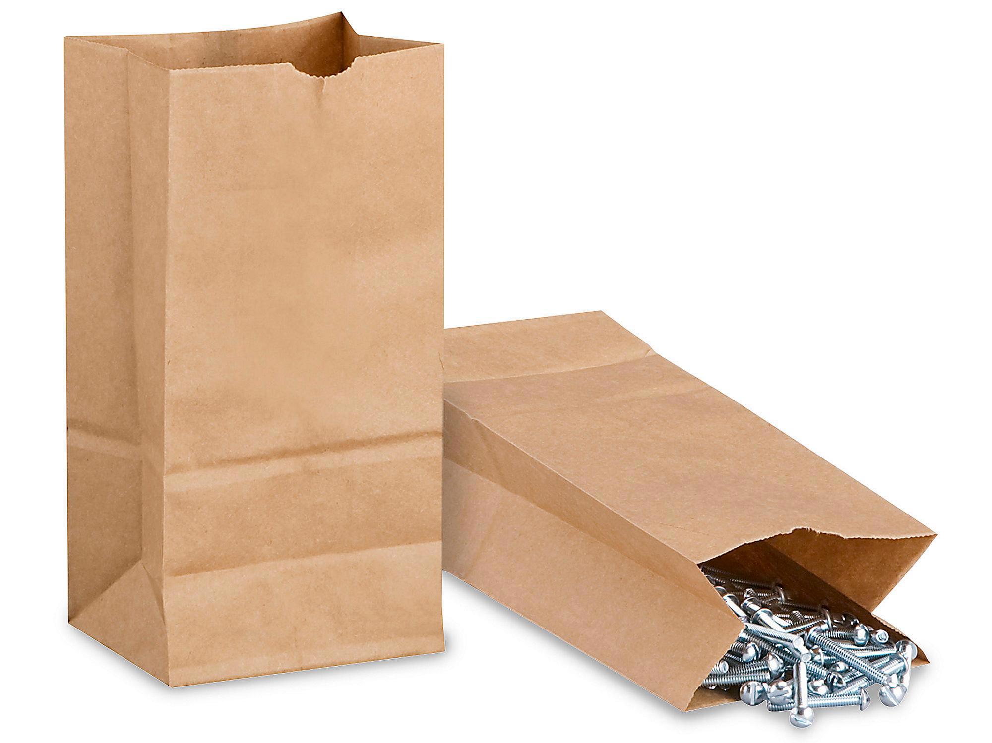 Hardware Paper Bags - 5 x 3 1 4 x 9 3 4
