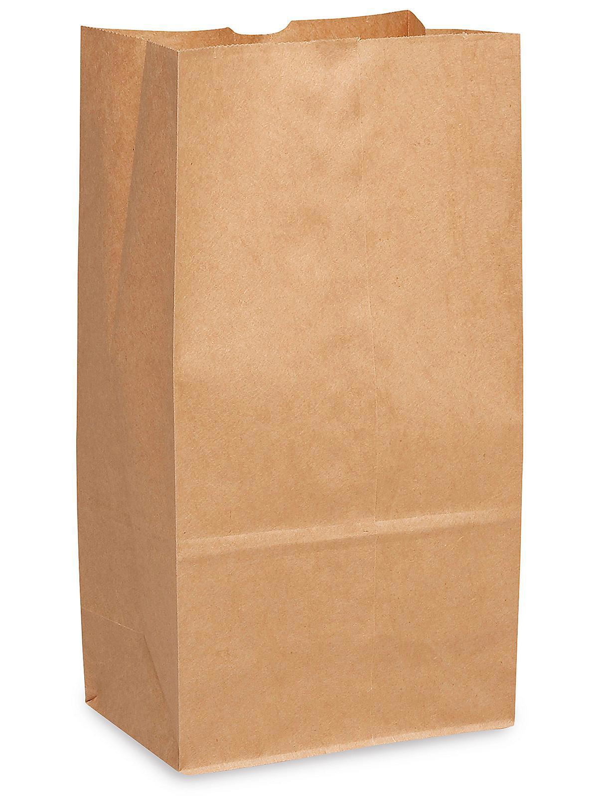 Paper Grocery Bags - 6 x 3 5 8 x 11