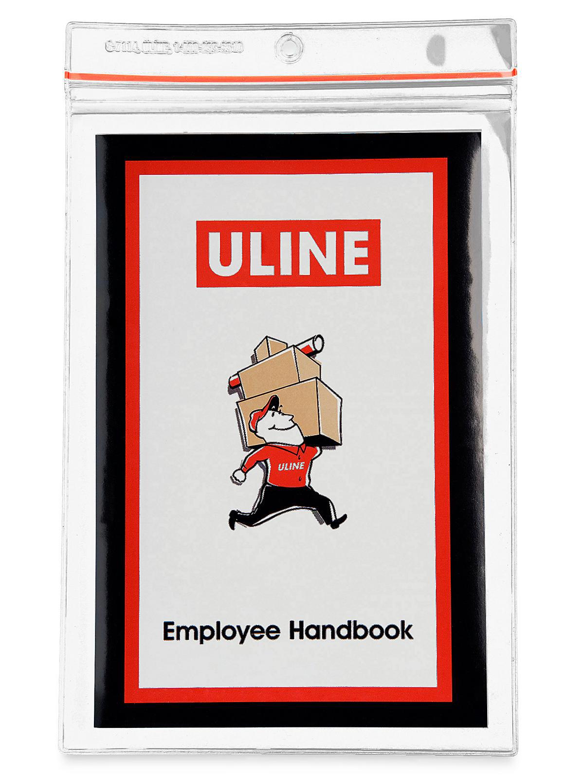 Reclosable Vinyl Envelopes - 6 x 9