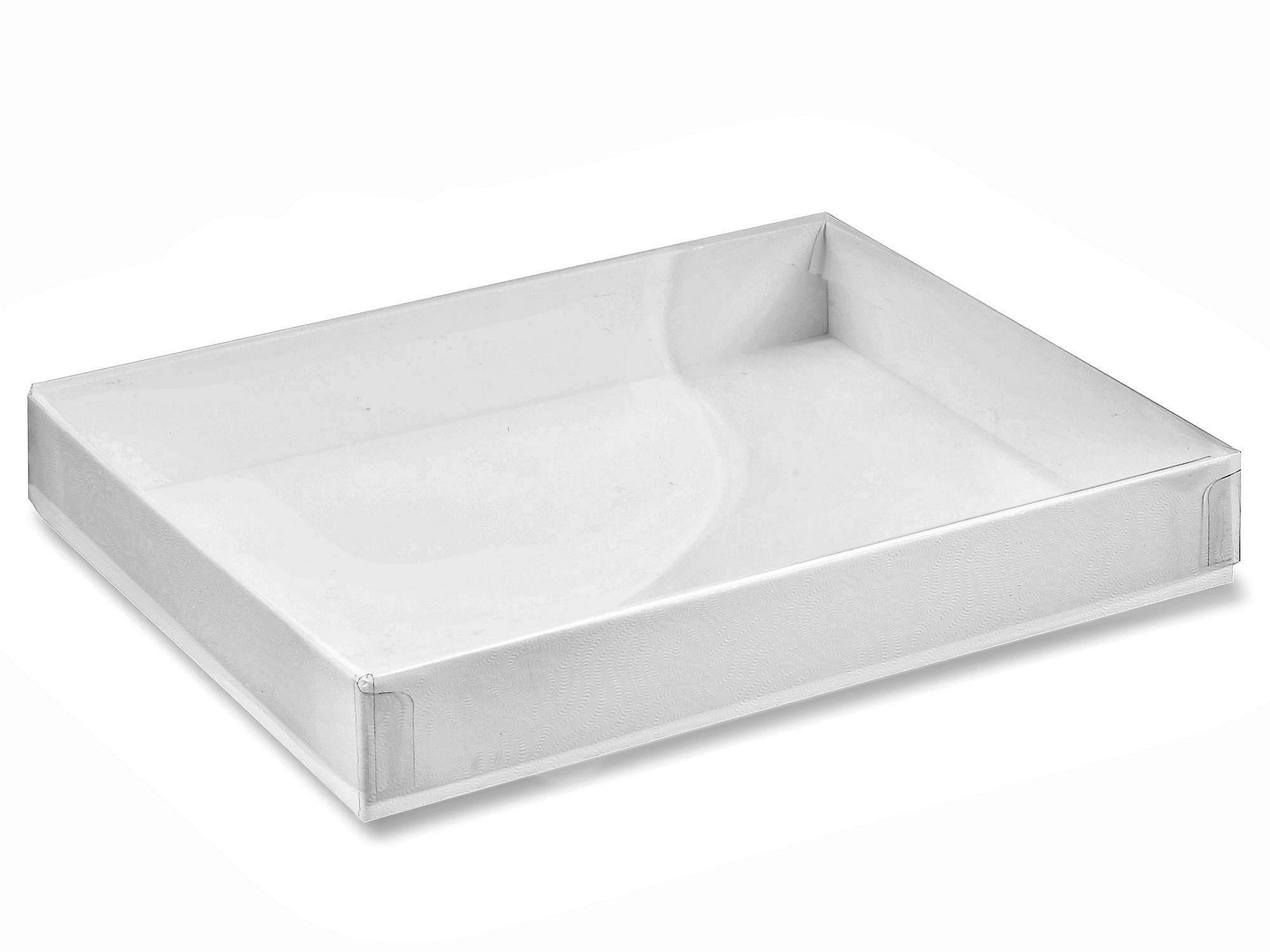 Clear Lid Boxes with White Base - 6 9 16