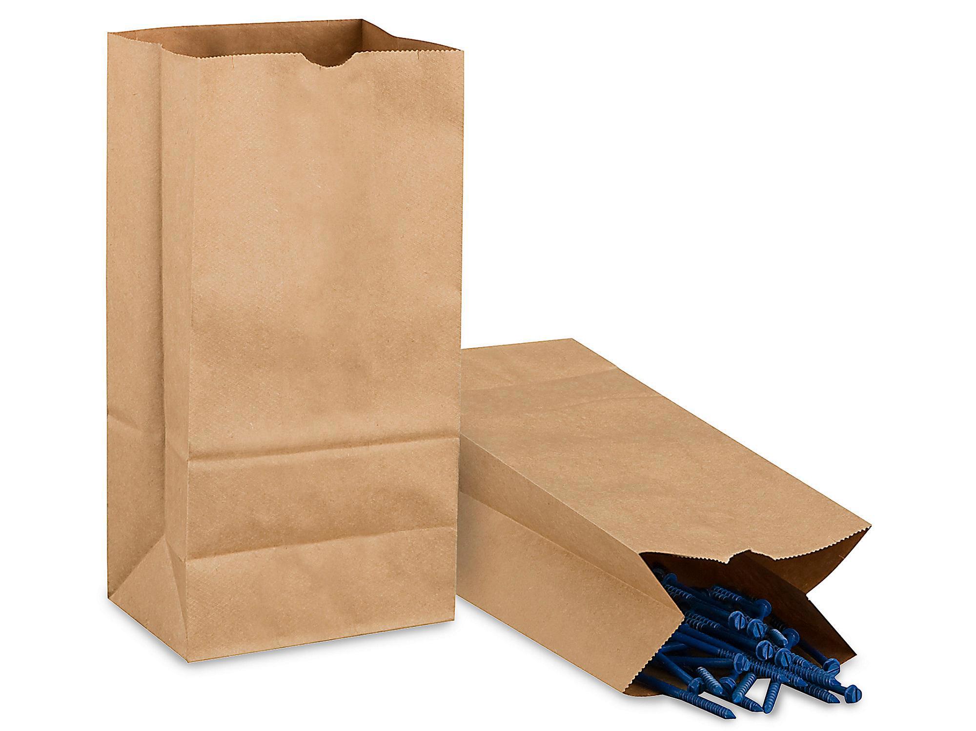 Hardware Paper Bags - 6 1 8 x 4 1 6 x 12