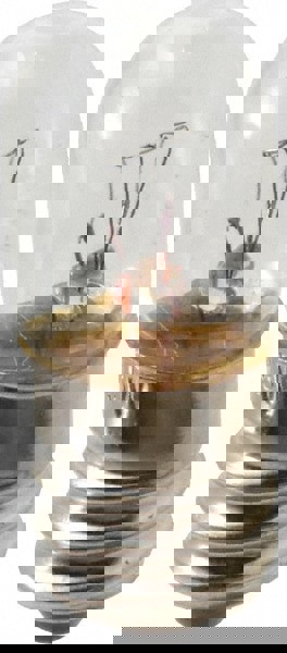 2 Watt, Incandescent Miniature & Specialty T4 Lamp