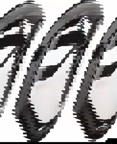 Face Shield & Headgear: