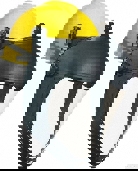 Face Shield & Headgear: