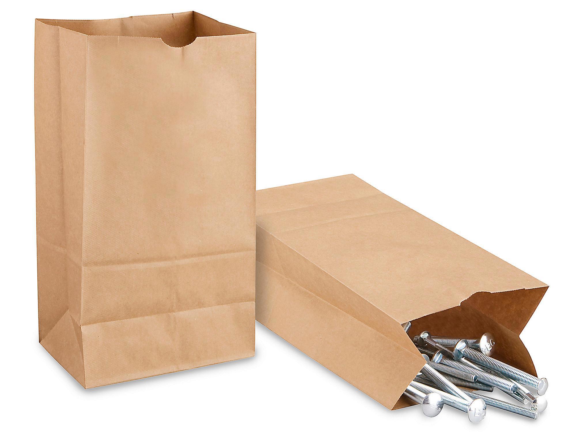 Hardware Paper Bags - 8 1 4 x 5 5 16 x 1