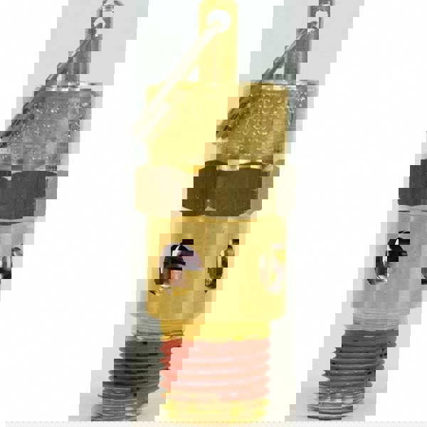 ASME Safety Relief Valve: 1/4