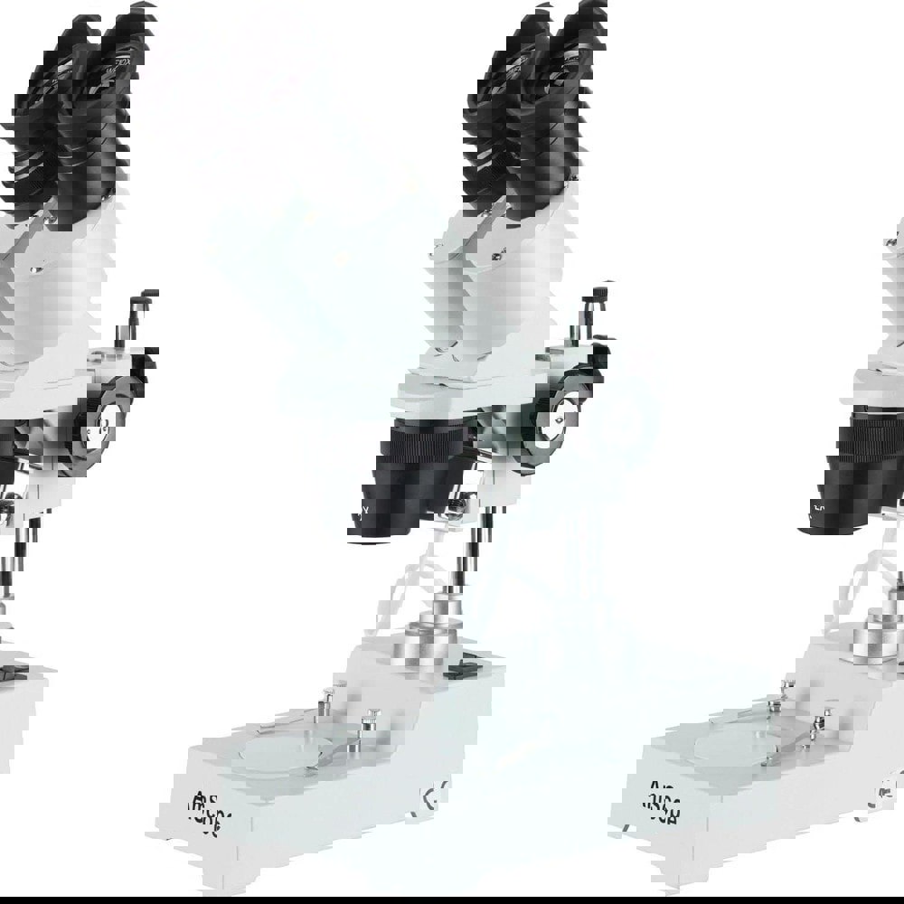 Microscopes; Microscope Type: Stereo ; Eyepiece Type: Binocular ; Image Direction: Upright ; Eyepiece Magnification: 10x