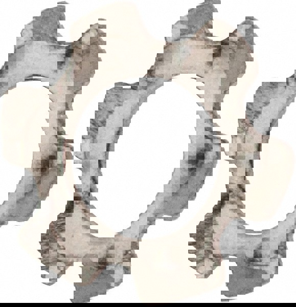 M2.5 Screw, 2.7mm ID, Stainless Steel External Tooth Lock Washer