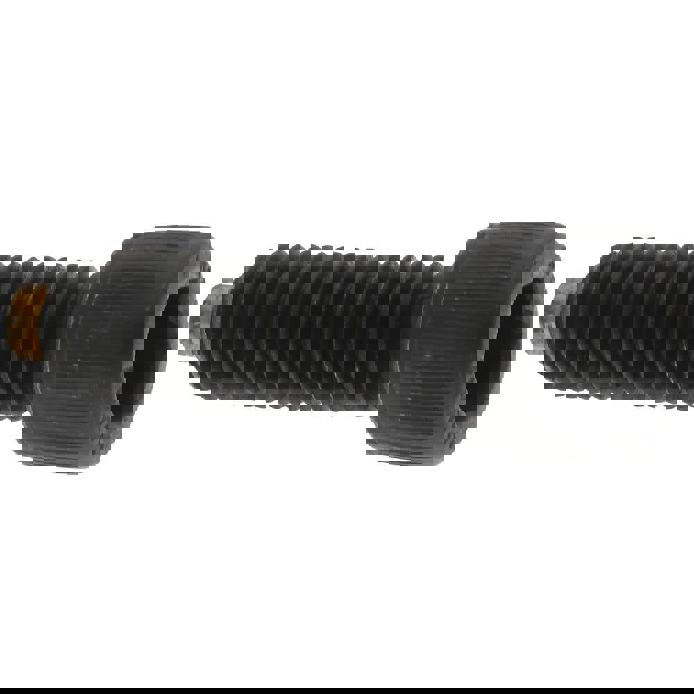 Hex Socket Cap Screw: 1/4-20 UNC